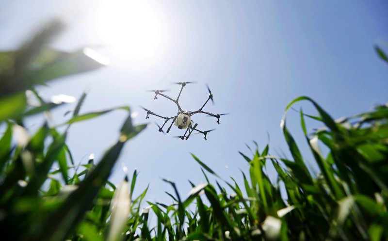 51գֲ˻ںӱ־ֲרҵСһҵ