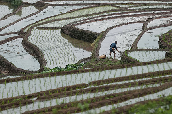 51գĴʡɽɳ«Ķɽ׼