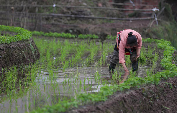 51գĴʡɽɳ«Ķɽϲ