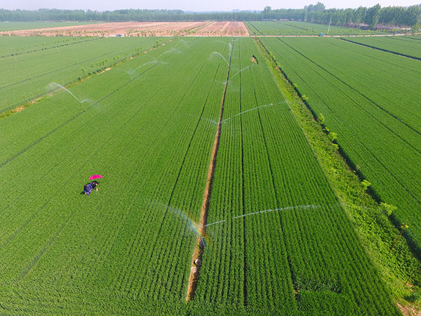 ɽʡĳжش򣬿Ԫͥũʹˮһ廯ˮ豸Сˮ429㣩