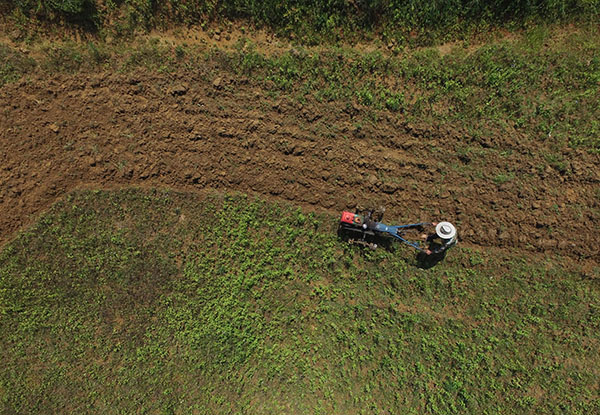 5月7日,在番阳六村忧遁草种植基地,一名村民操作机耕机翻整土地,为种植忧遁草做准备。