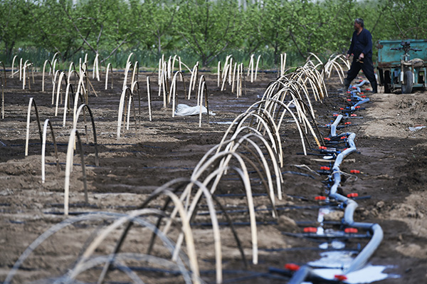 ɽʡƽسɽ˷ũڽеιҵũҵιﵽ10Ķ418㣩