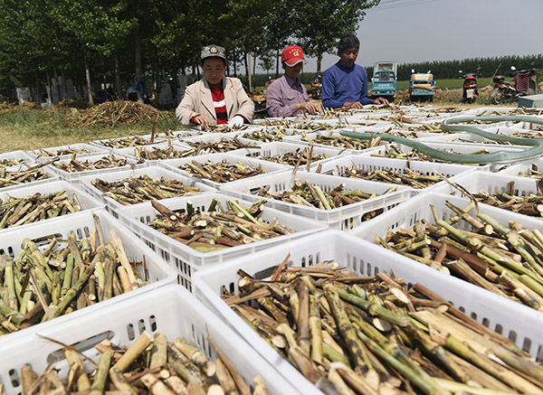 53գɽʡػ̬Чִũҵʾƽ̨޾ֲصũڲ鿴׼ֲ֡о޾ֲѴ5ĶΪеũҵṹҪץ֡