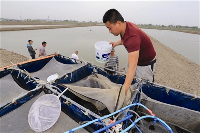 ĶϺʼͶ ԤƲ30% 9´