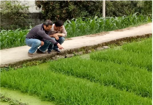 죺ֲվʵչˮ׵ղ鹤