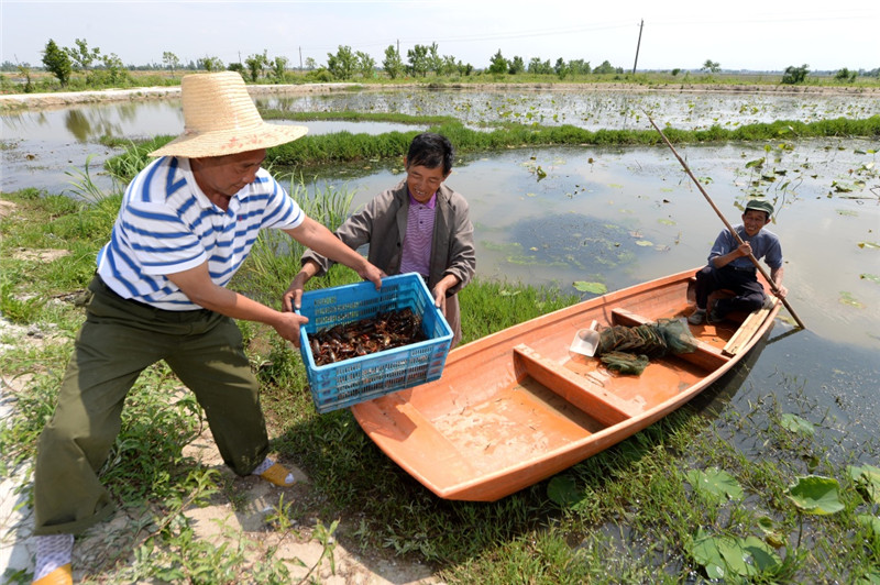 55գϲ½ɽִũڰ˸ղСϺ