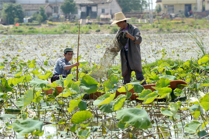 55գϲ½ɽִũСϺڽв̡