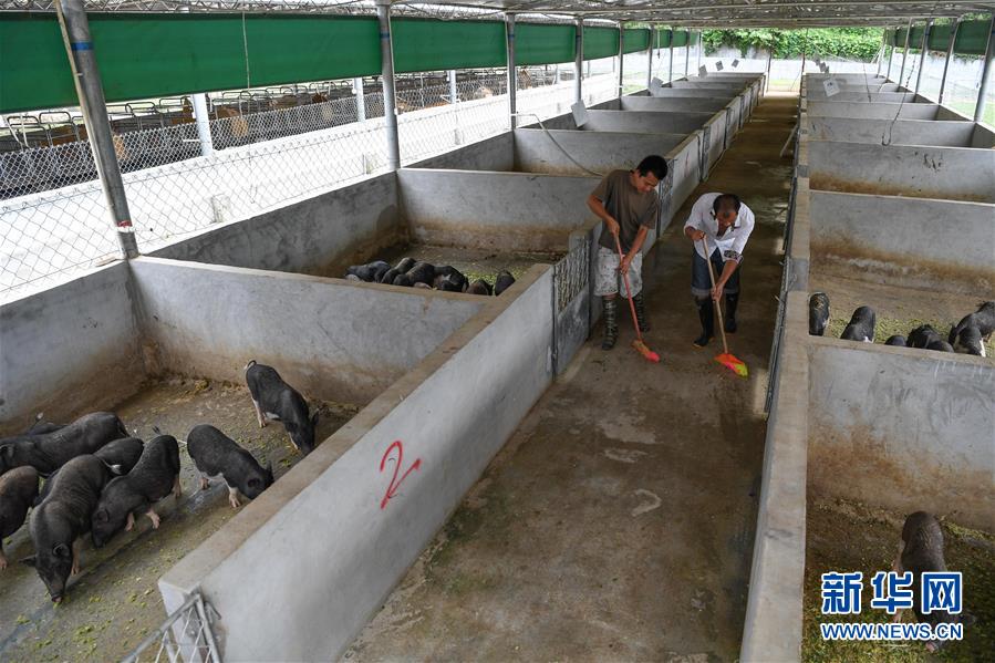 53գںʡũֿƼѧУֳأӰĴƶר󣩡ϴڴɨᡣ