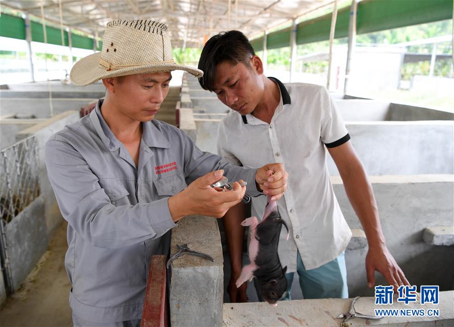 53գںʡũֿƼѧУֳأӰĴƶԽϣңֳԱعѧϰע䲹롣