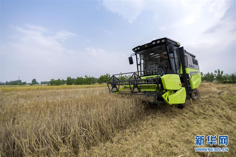 55գںʡ壬ũʻոũæµ