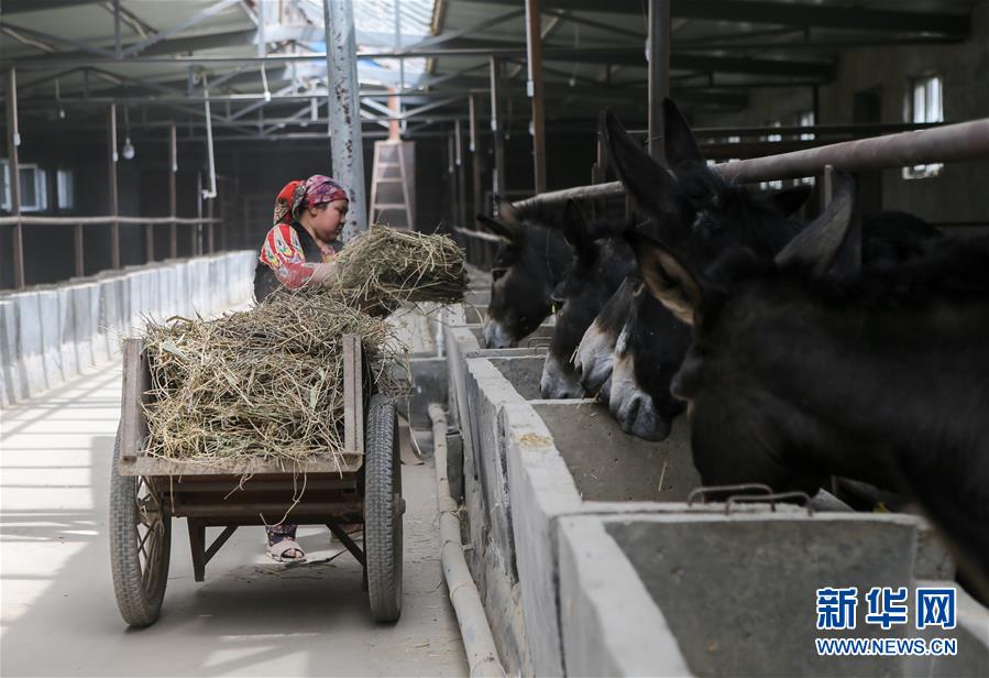 55գ½ʲպżӿտ˴彮¿ֳ磬ֳڸ¿ιϡ