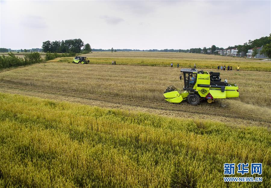 55գںʡ壬ũʻոũæµ