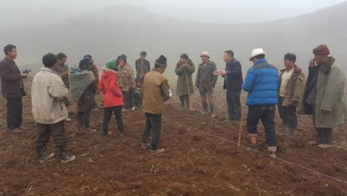 四川美姑县开展藜麦新品种试验、示范