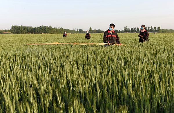 57գӱʡظǿũҵũũҩԤ溦