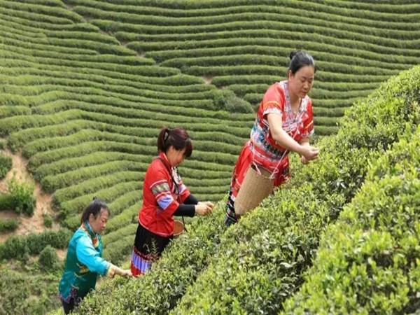 㽭50죬г5000Ѱڰײ԰