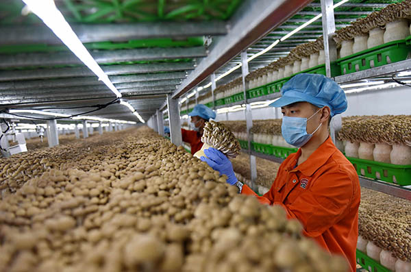 53գںӱʡϡʳþĿ乤