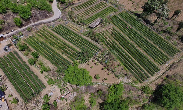 ӱʡٳأϲ豱ơ̫ɽũ·