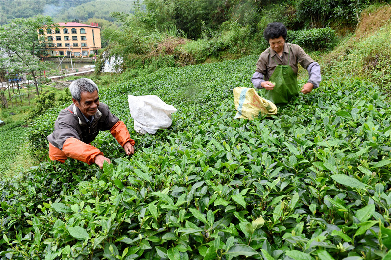 Ϫ˼ƽ󣩷ڲժҶ57㣩