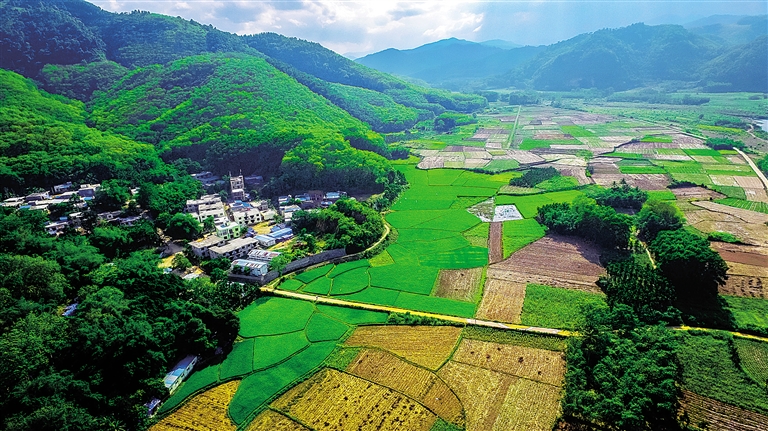 互联网+农业助农户开微店 海南白沙地瓜成"网红"