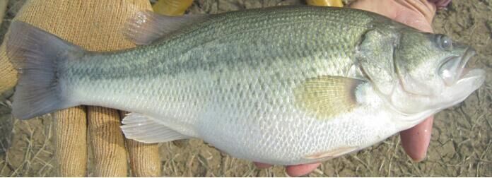 㽭2017깲ںԼ9βԸ㻹