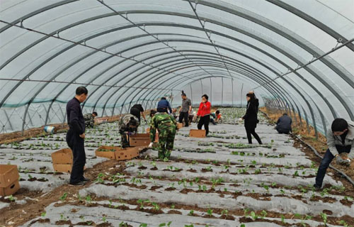 ľ˹ũίԱɲץũʱ崺