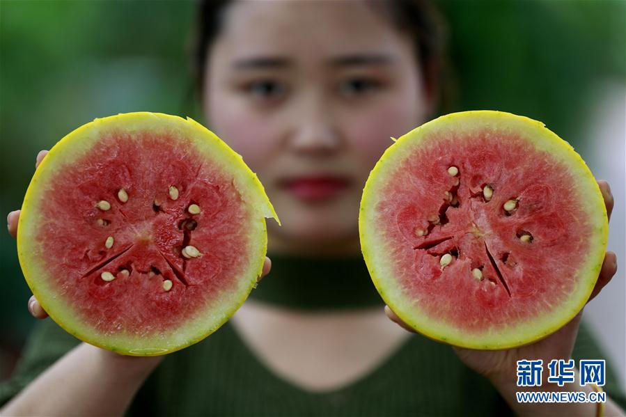 59գʡذļ̲԰Աչʾƽϡ