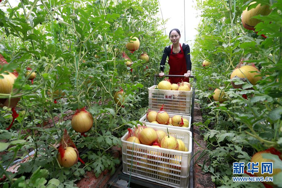 59գʡذļ̲԰Աڰˡƽϡ