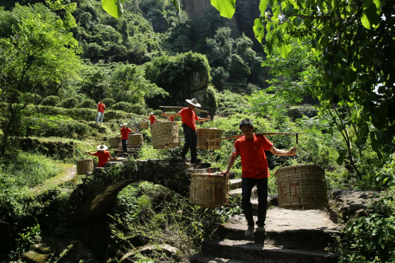 59գʡɽĴũ˲ժҲ衣