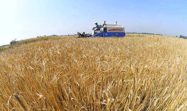 510գںʡɽũרҵũջʳ