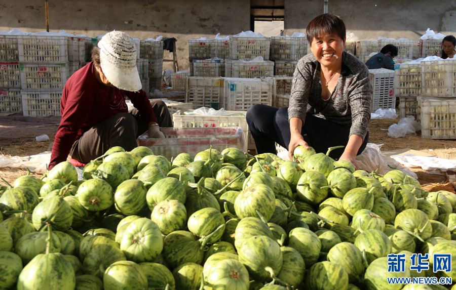 ʱڣڻֲĶϡ½У˸صĿǰչ