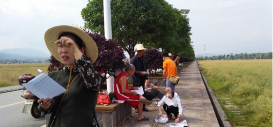 农业局技术人员对稻田公园油菜进行田间测产