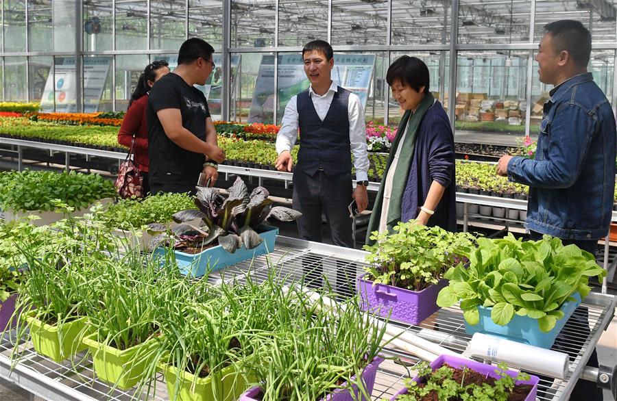 510գڳũس¼ҵһ̬ũҵҴѡл߲ˡ