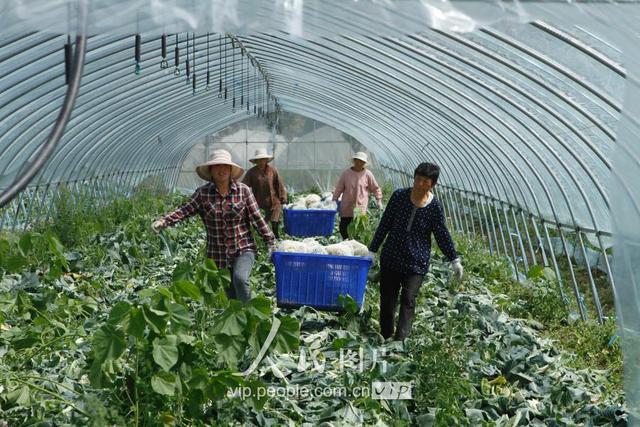 57գɳũ߲רҵ߲˴ũ˸ղյлװۡ