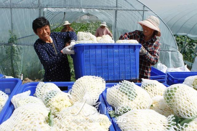 57գɳũ߲רҵ߲˴ũ񽫸ղյлװ