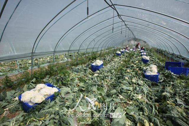 57գɳũ߲רҵ߲˴ũڲյлˡ