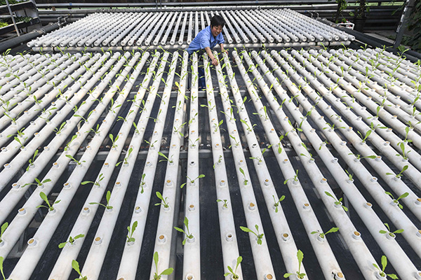 56գӱʡȷйũ԰ڴˮˡ