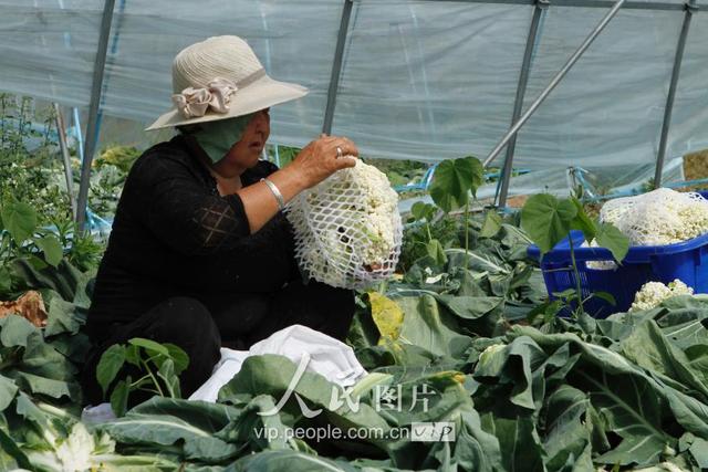 57գɳũ߲רҵ߲˴ũڲյлˡ