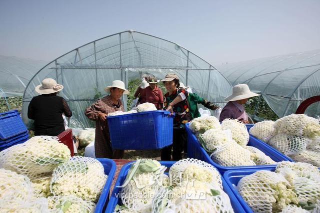 57գɳũ߲רҵ߲˴ũ񽫸ղյлװ