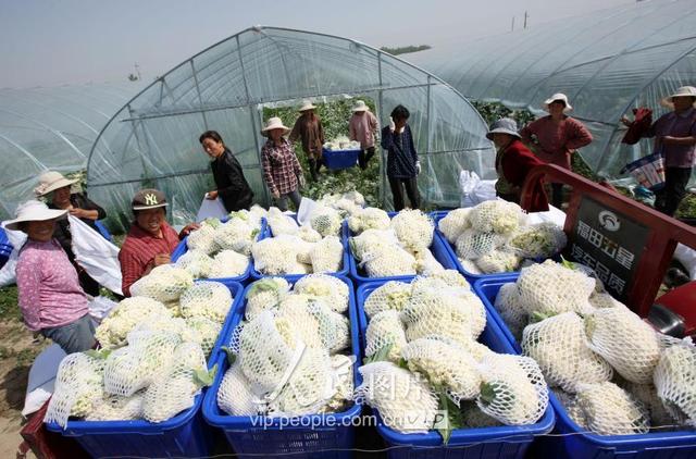 57գɳũ߲רҵ߲˴ũ񽫸ղյлװ