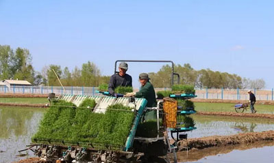 黑龙江:桦川县各乡镇春耕生产全面开展