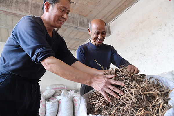 511գӱʡһҩרҵĹչĲ