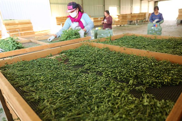 510գӱʡƽȪصһݼӹҵԱڼӹ