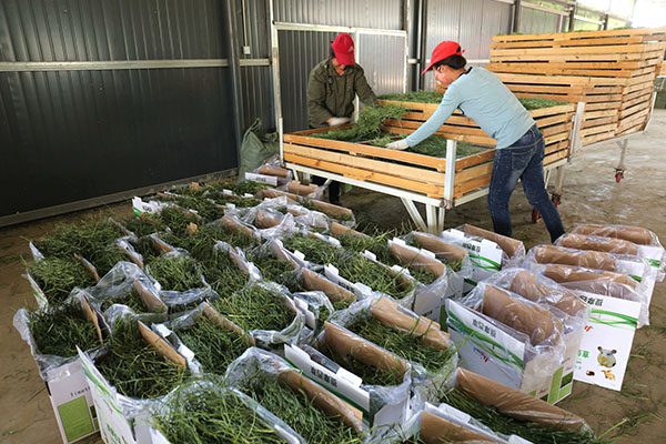 510գӱʡƽȪصһݼӹҵԱڰװɺĳ