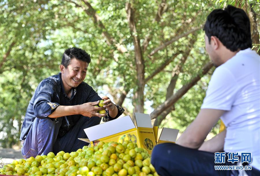 513գпѷϺ壬ľ󣩺ʹչӾ͵װ䡣