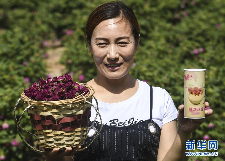 513գذũչʾõ廨Ʒ