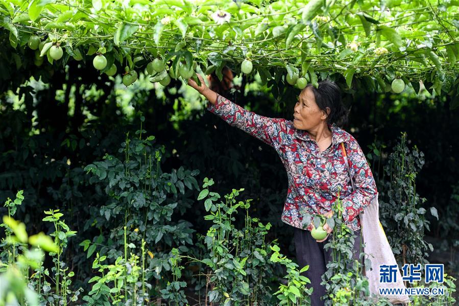 513գָɽëë׿㻨ڲհ