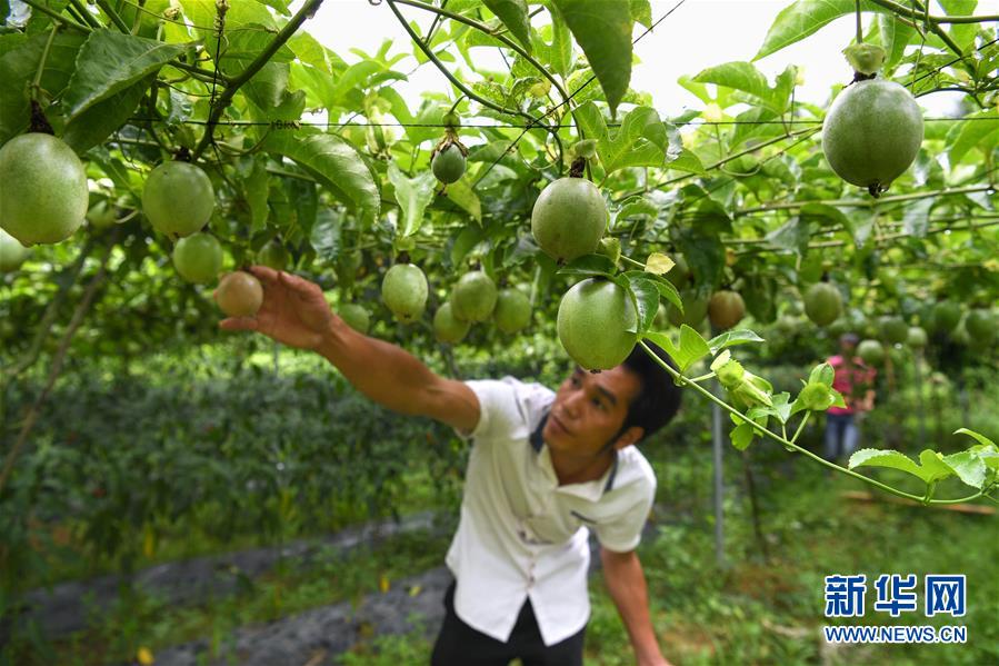 513գָɽëë׿ΰڲհ