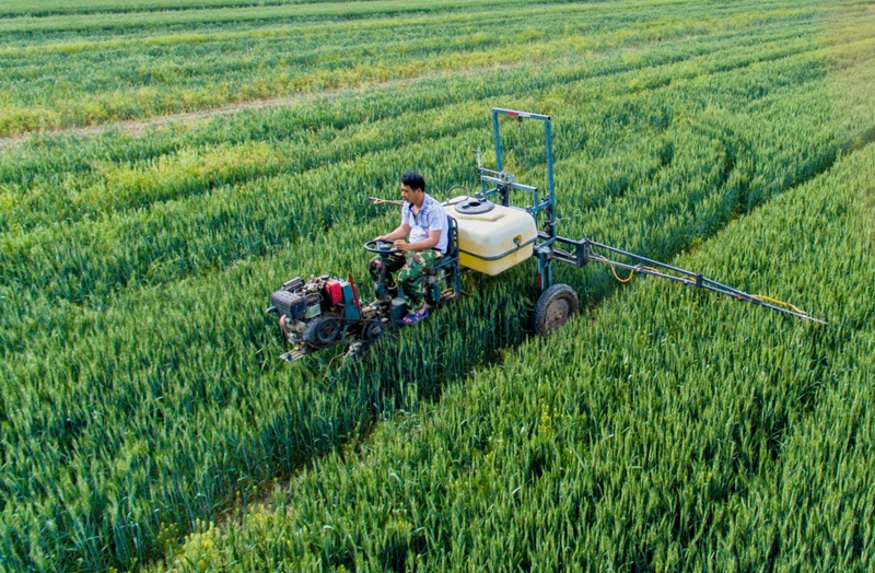 河北:抓麦管 保丰收
