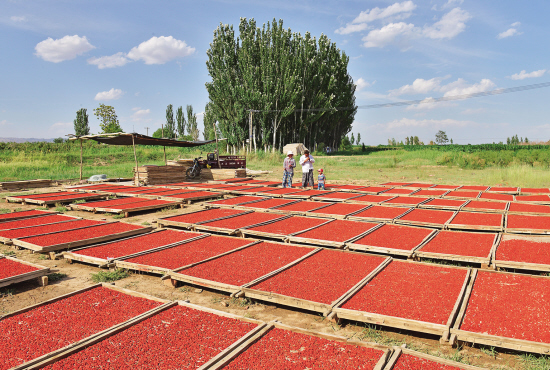 1+5ɫҵչִũҵ»