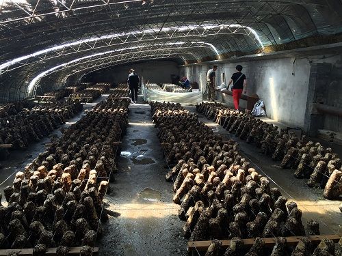 Ԫ ½ŵʮʦһ0ֳ¡С